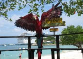 Sandcastles Jamaica