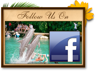 Sandcastles Jamaica - Follow Us On Facebook